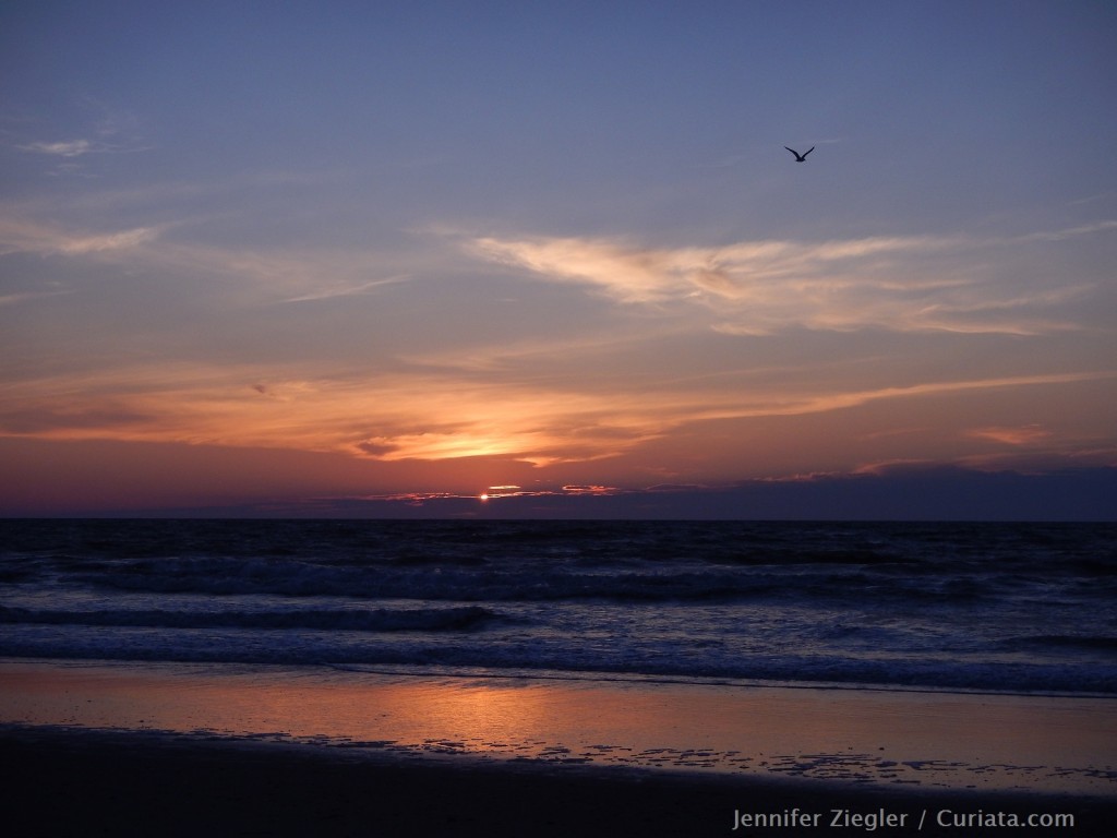 obx-sunrise